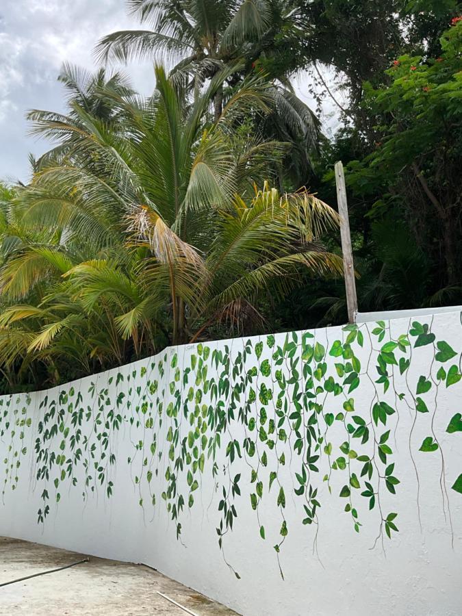 The Serene House Bed & Breakfast Luquillo Zewnętrze zdjęcie