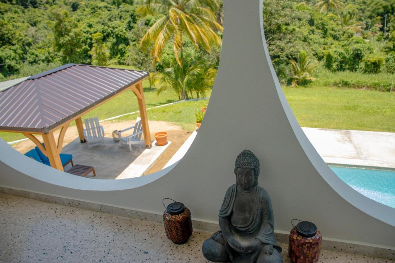 The Serene House Bed & Breakfast Luquillo Zewnętrze zdjęcie