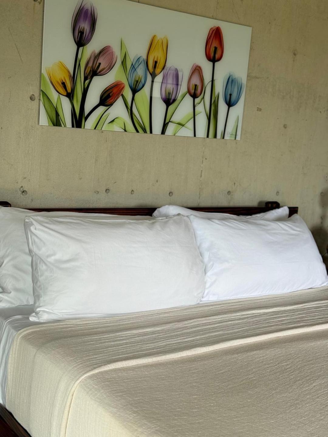 The Serene House Bed & Breakfast Luquillo Zewnętrze zdjęcie