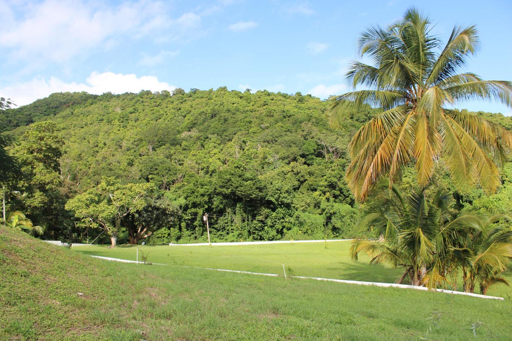 The Serene House Bed & Breakfast Luquillo Zewnętrze zdjęcie