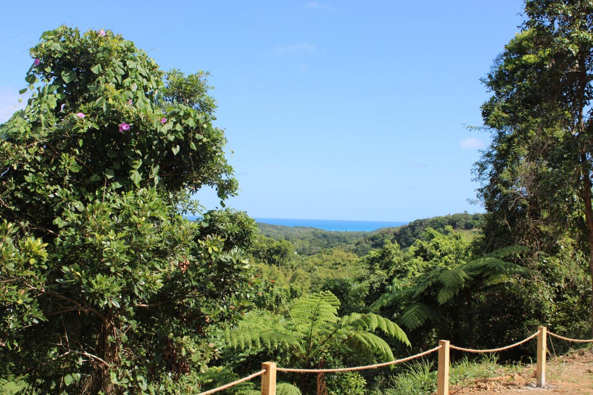 The Serene House Bed & Breakfast Luquillo Zewnętrze zdjęcie