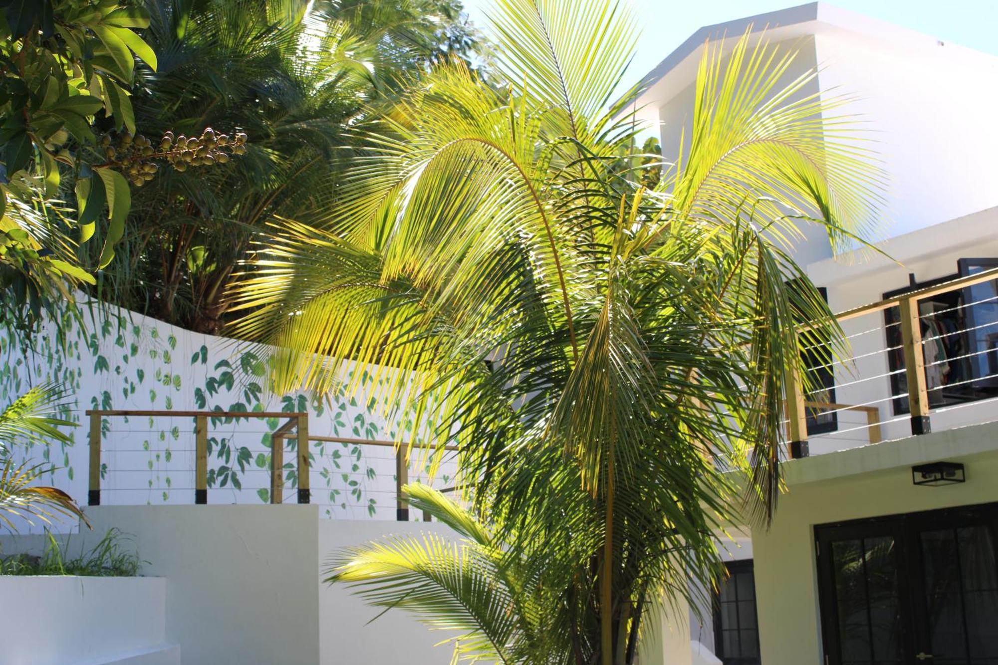 The Serene House Bed & Breakfast Luquillo Zewnętrze zdjęcie